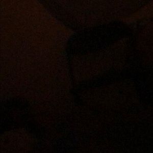 Meet your Posher, Jayla